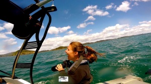 Capturing images of Orca during a research expedition in the Bay of Islands, New Zealand 