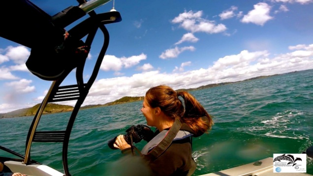 Myself on a research day in the Bay of Islands, New Zealand